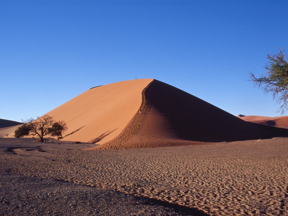 ナミビア 最古の砂漠で砂遊び あさひ Greenfamily Sundayclub